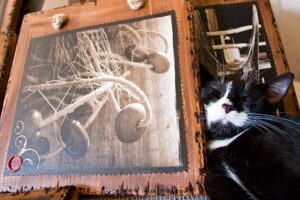 New images for Rovinj gallery