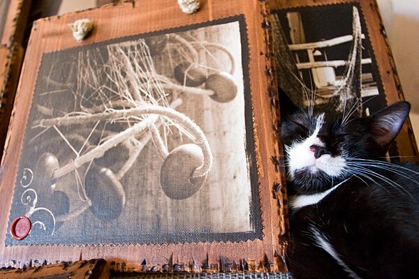 New images for Rovinj gallery