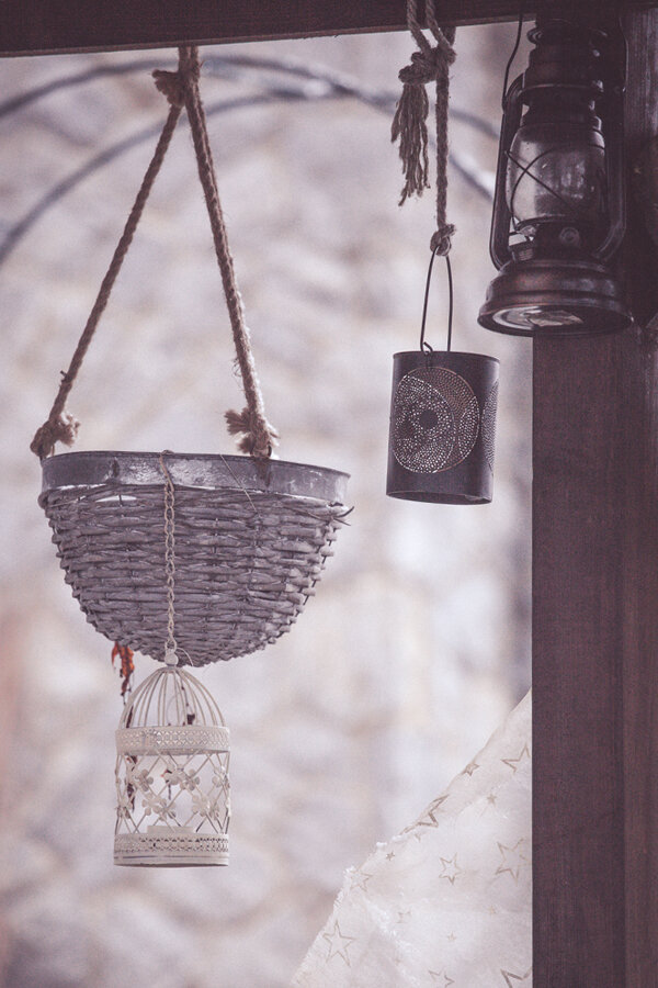 Foggy day in my yard