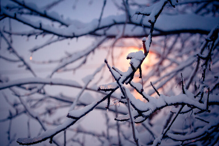 Winter sunset in my backyard