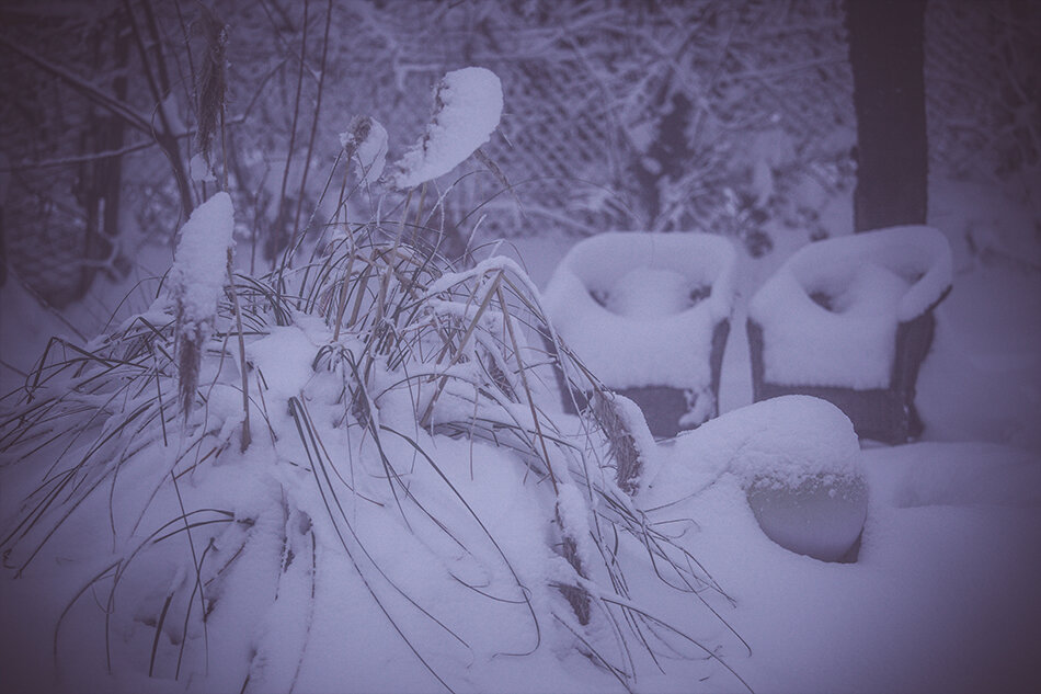 Winter sunset in my backyard.