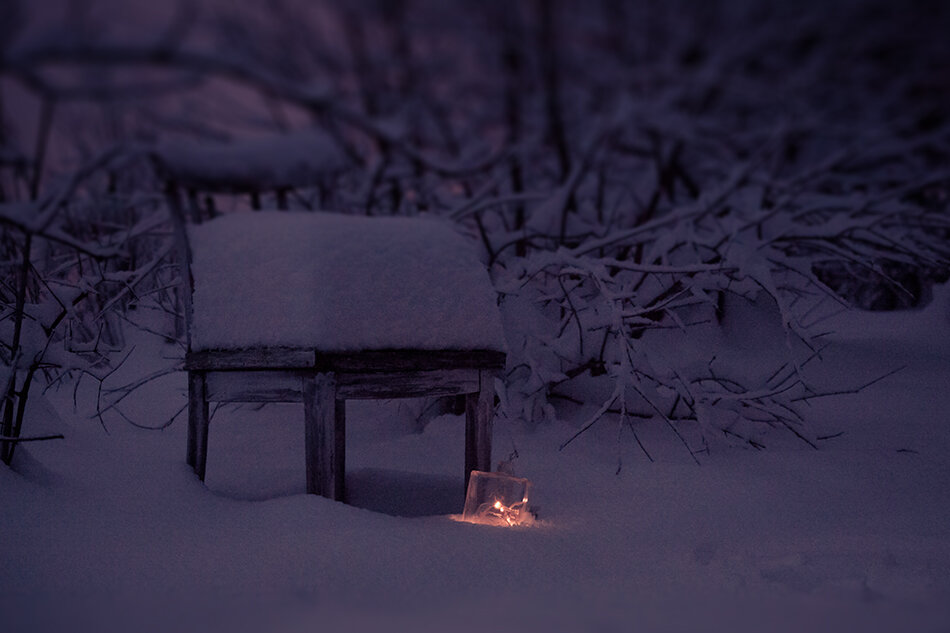 Winter sunset in my backyard.