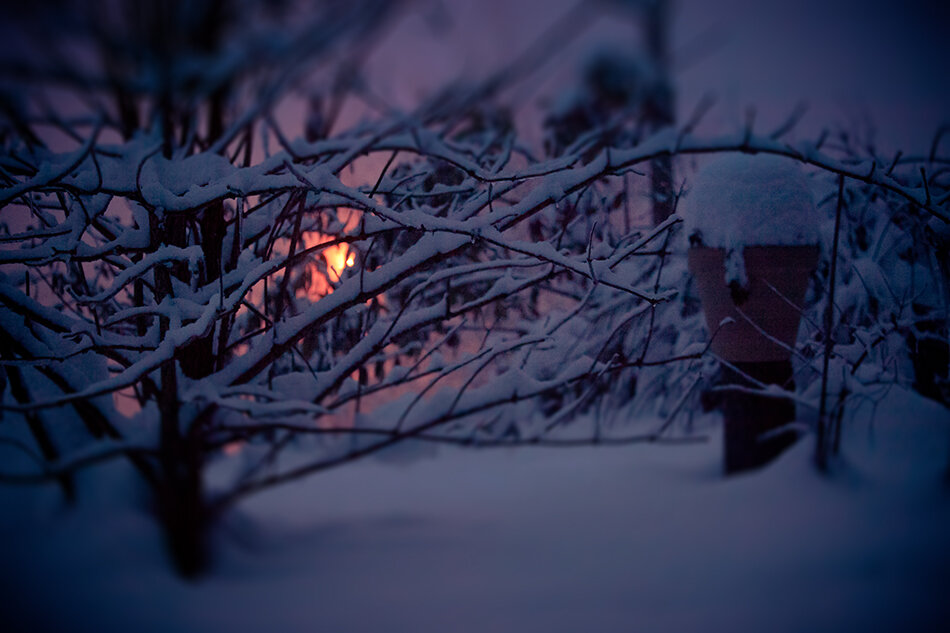 Winter sunset in my backyard.