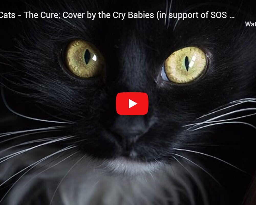 BSilvia Photography Belgium