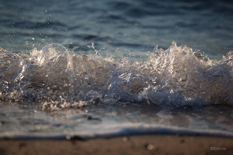 Sea, closeup and personal