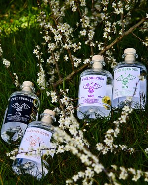 Social Networks, Basic Photo Pack (50 photos, 3 months posting on the platform chosen by the client)