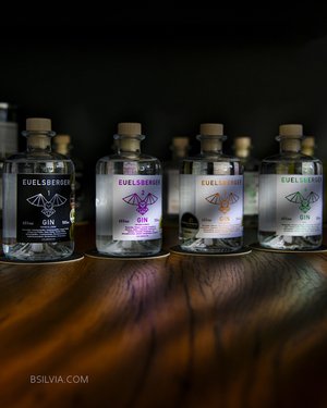 Social Networks, Basic Photo Pack (50 photos, 3 months posting on the platform chosen by the client)