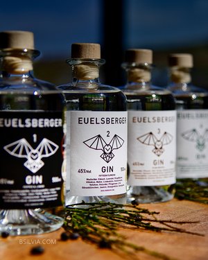 Social Networks, Basic Photo Pack (50 photos, 3 months posting on the platform chosen by the client)