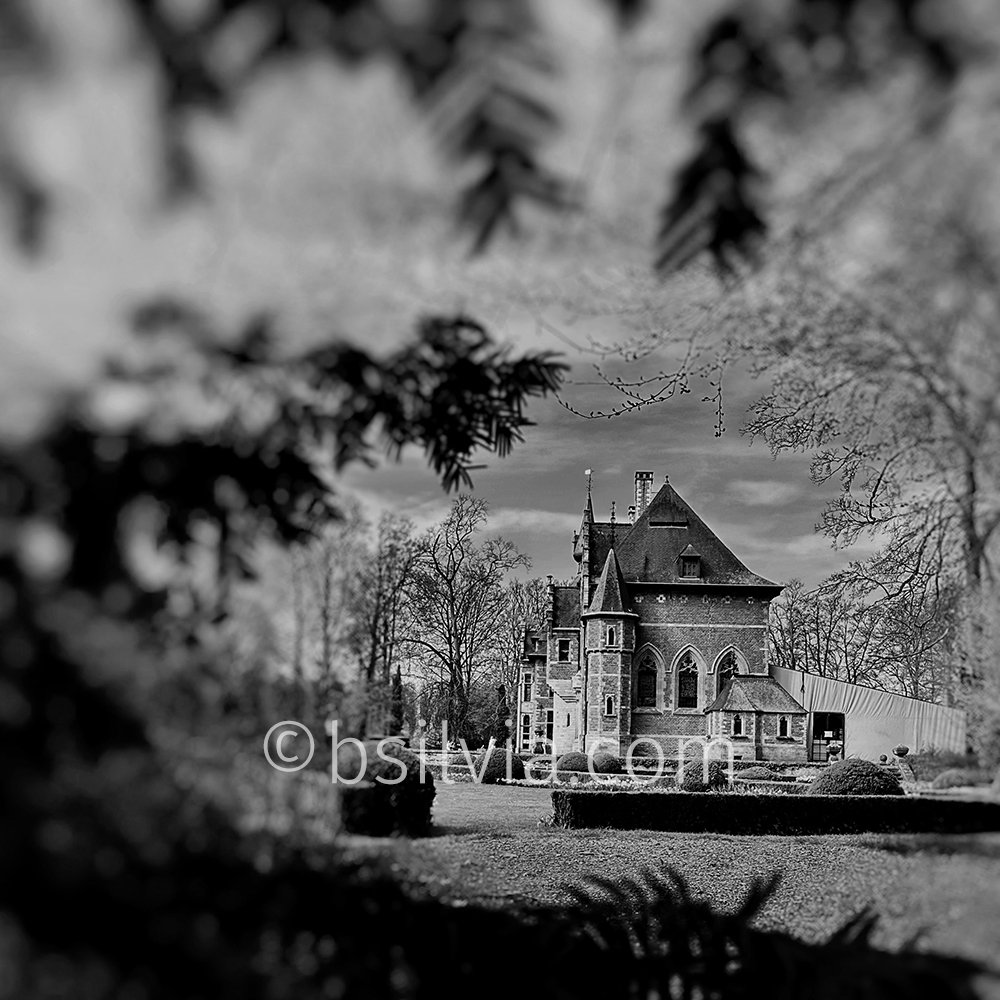 Capturing Moments in Monochrome: A Guide to Black and White Photography with Mobile Phones