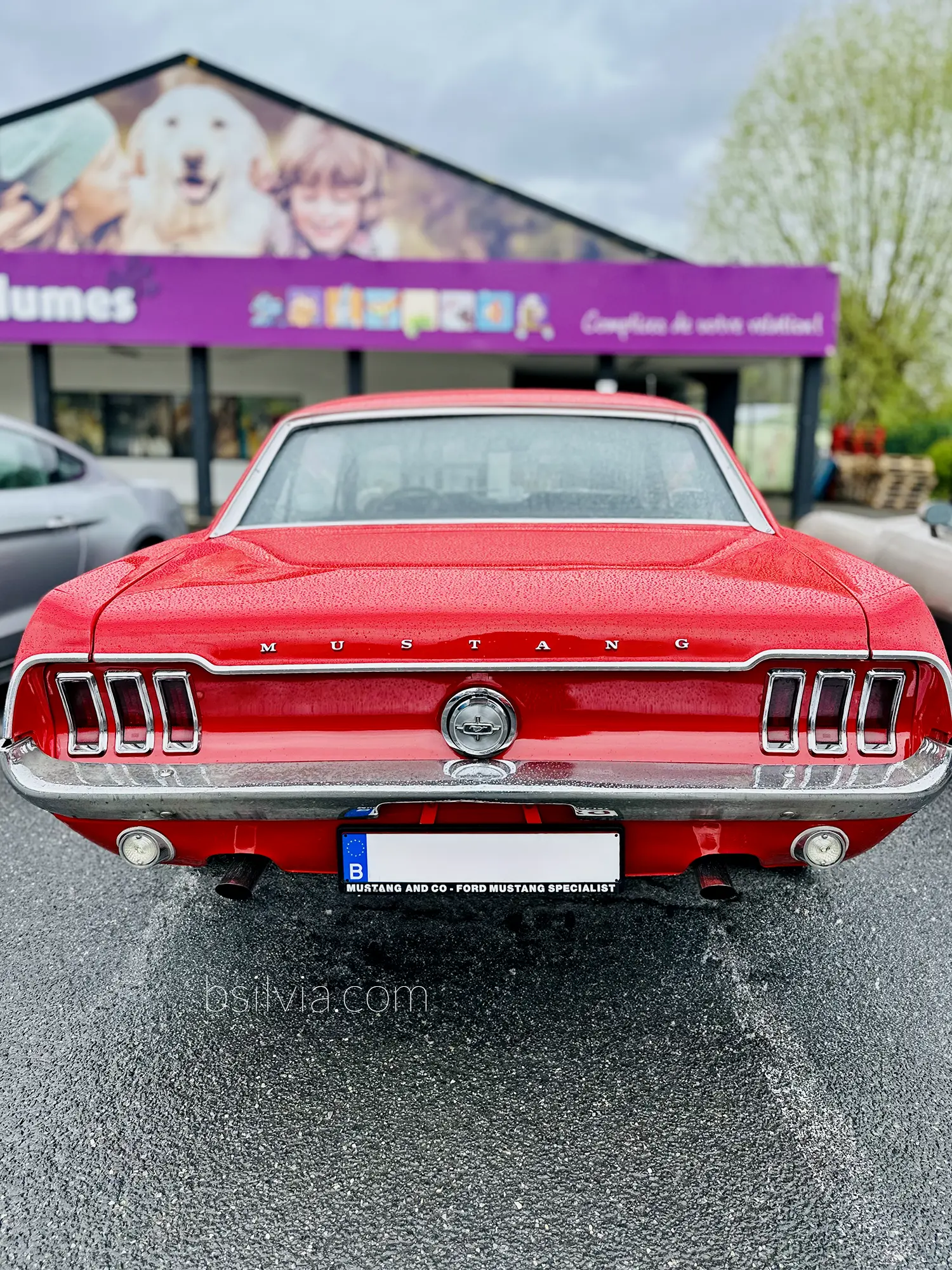 Ford Mustang