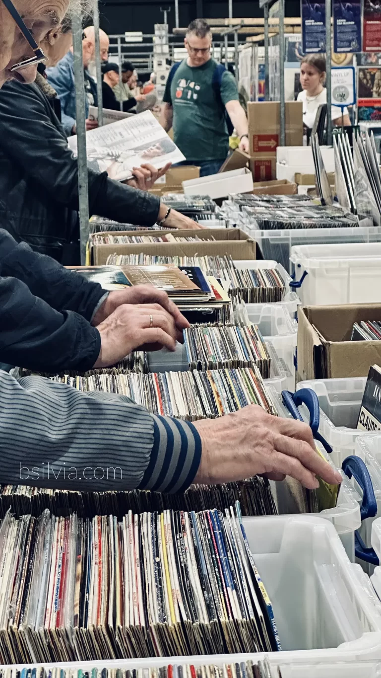 snapshots from vinyl and cd fair