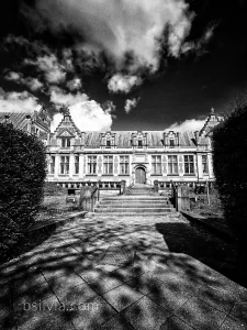 black and white snapshots