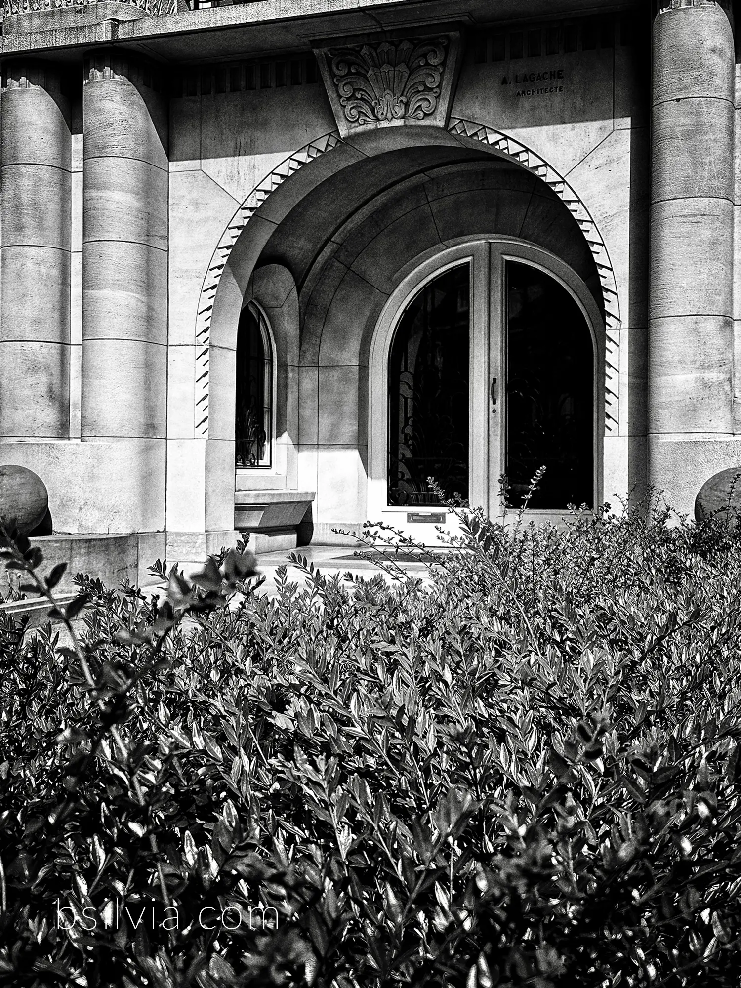 black and white snapshots