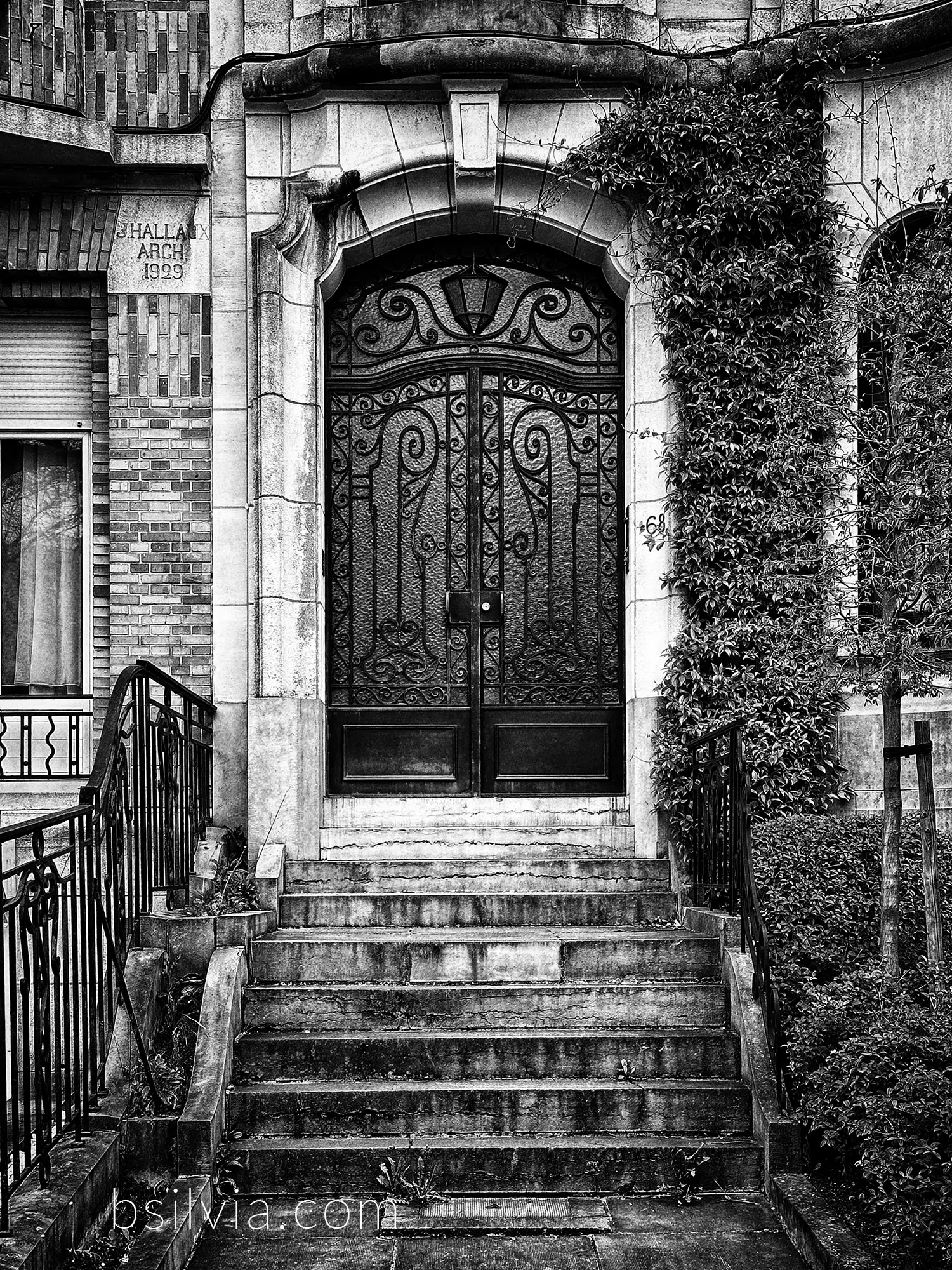 black and white snapshots