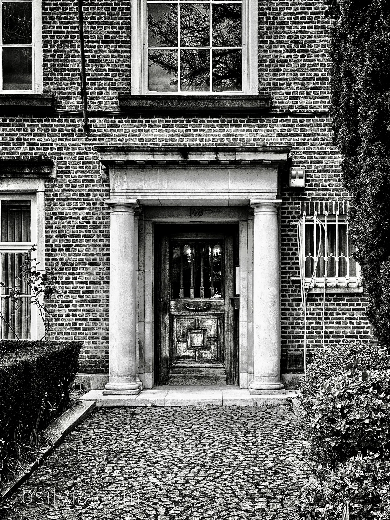 black and white snapshots