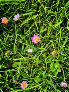 working day snapshots