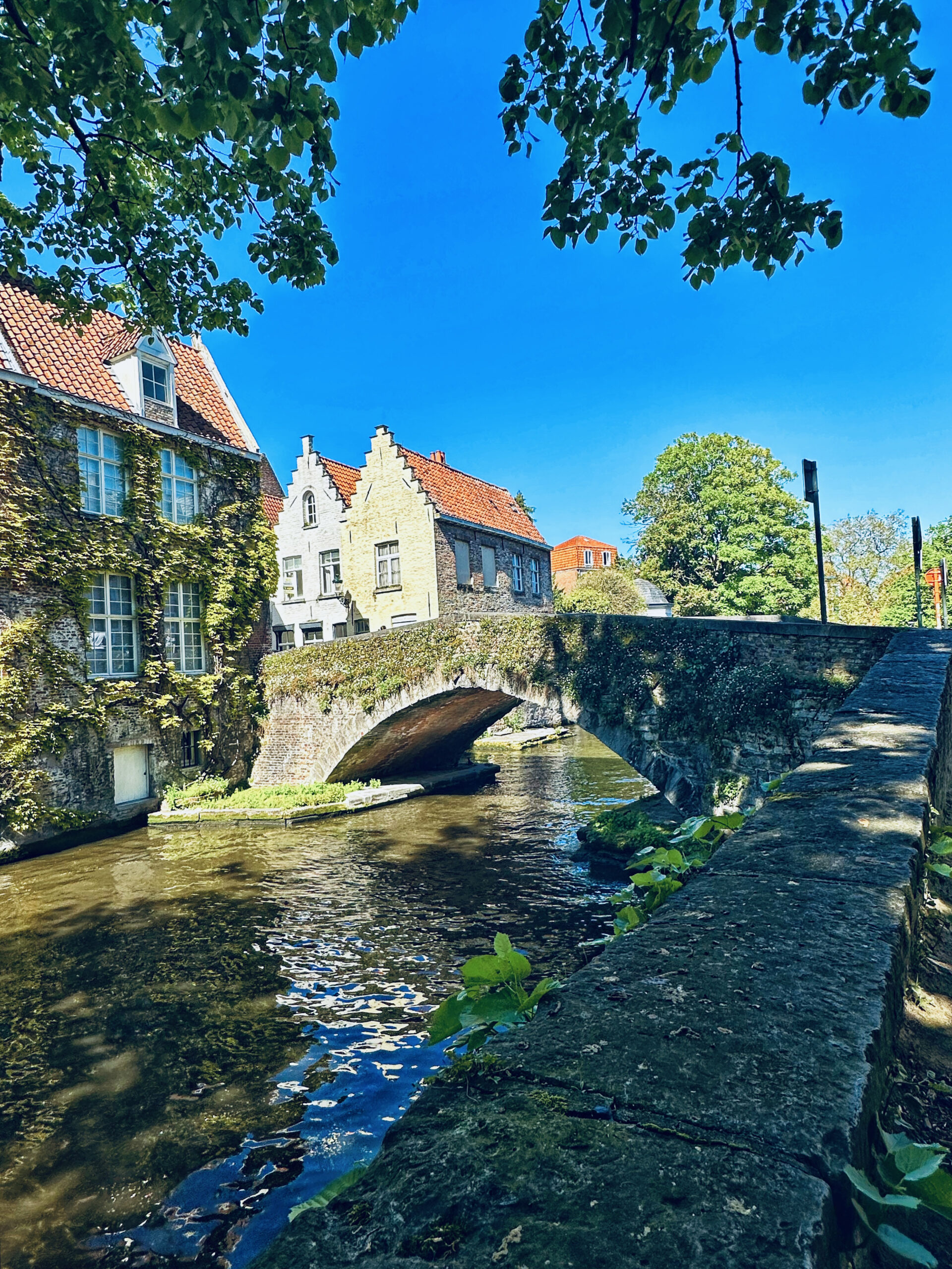 Snapshots from Brugge