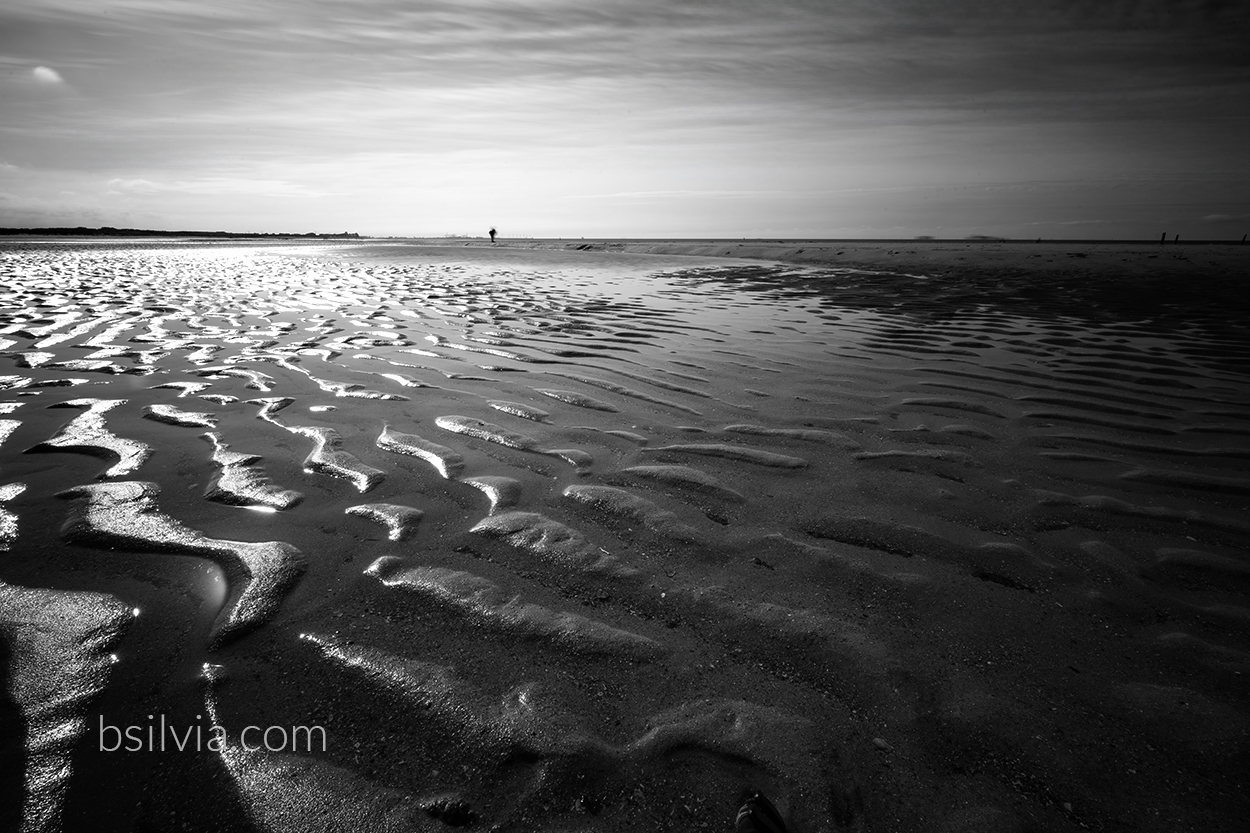 Why I’m Falling in Love with Black and White Photography (Again)