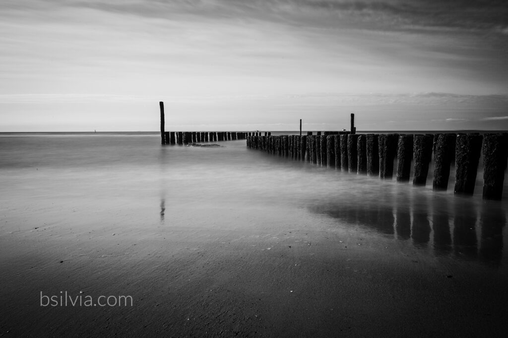 Why I’m Falling in Love with Black and White Photography (Again)