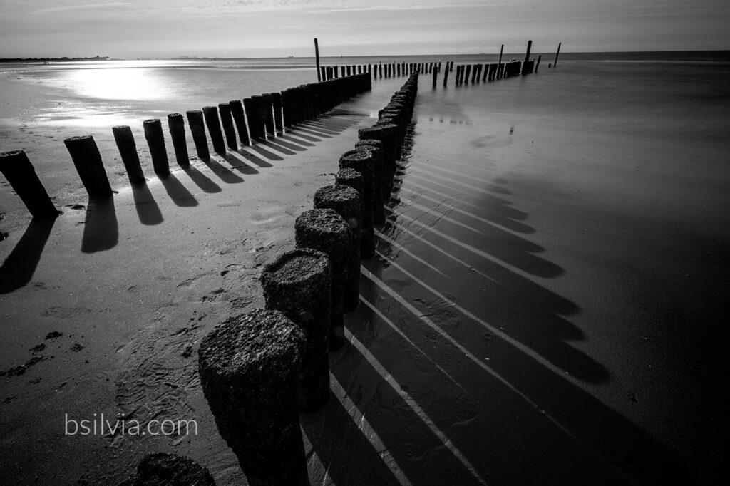 Why I’m Falling in Love with Black and White Photography (Again)