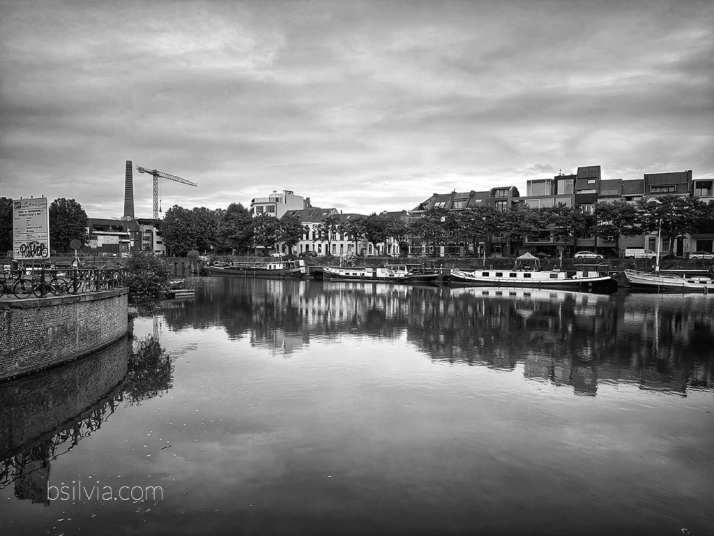 What Is the Best Camera Phone for Photography?