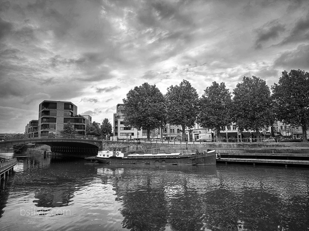 What Is the Best Camera Phone for Photography?