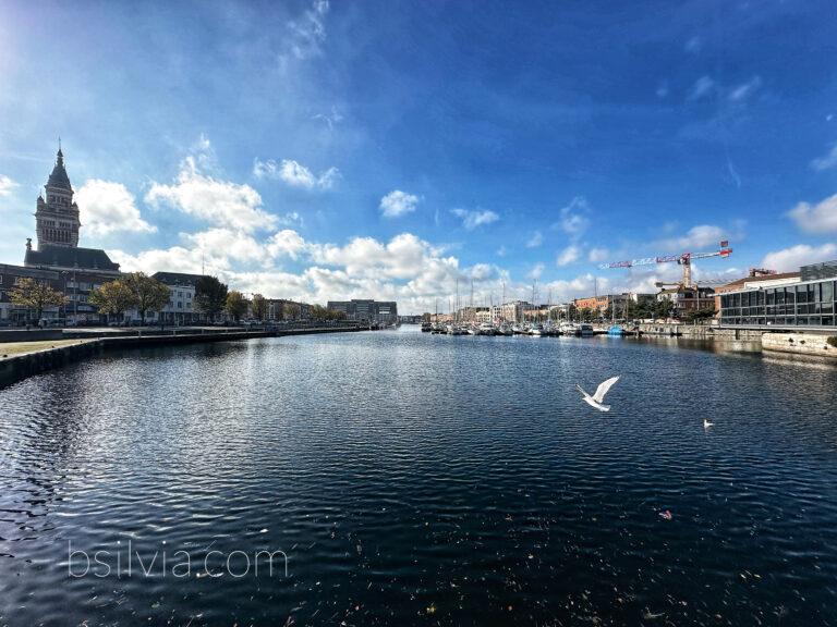 Dunkirk, Why Photography Services Mean More Than Just Point and Shoot