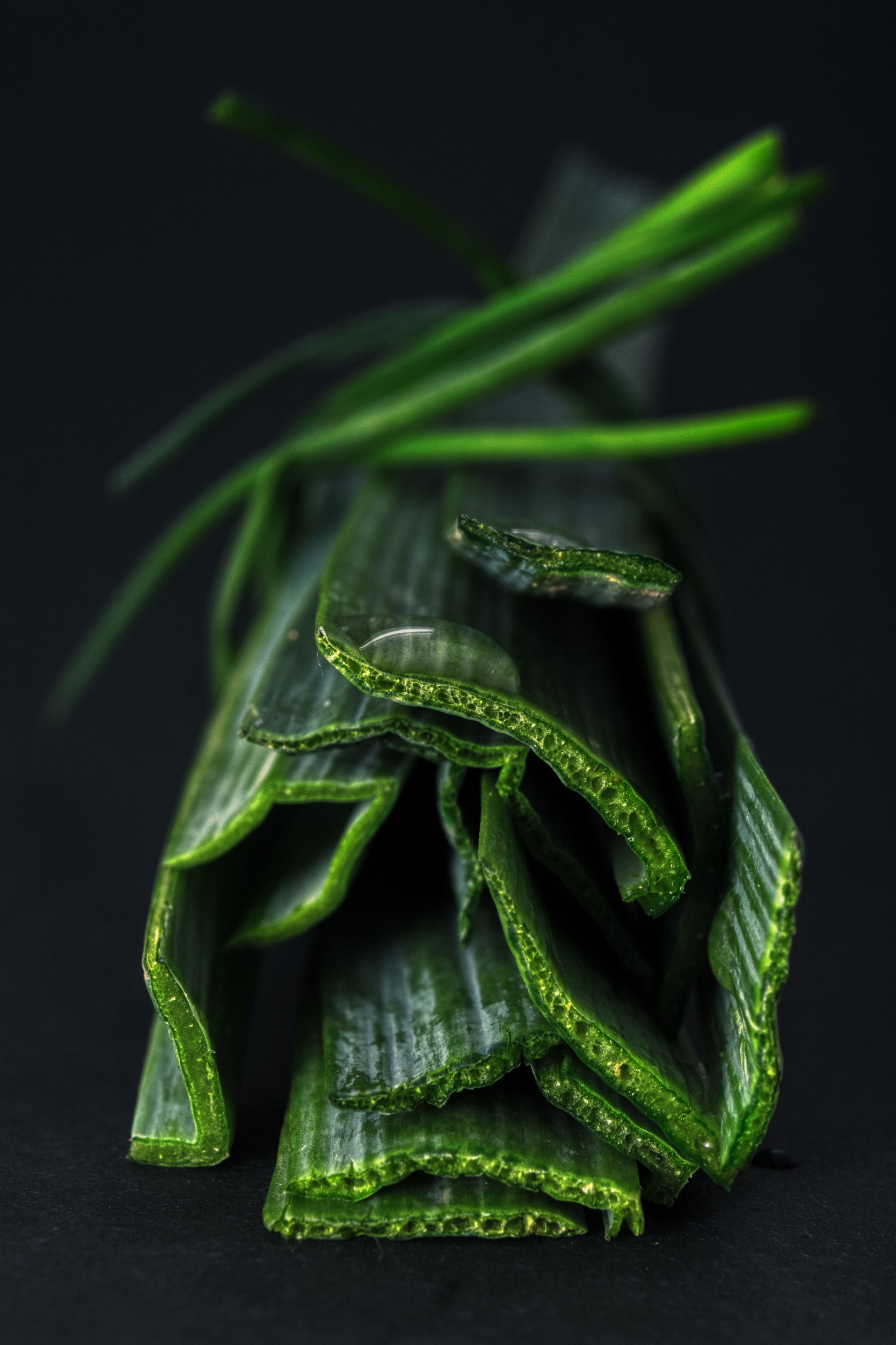 BSilvia Photography Belgium