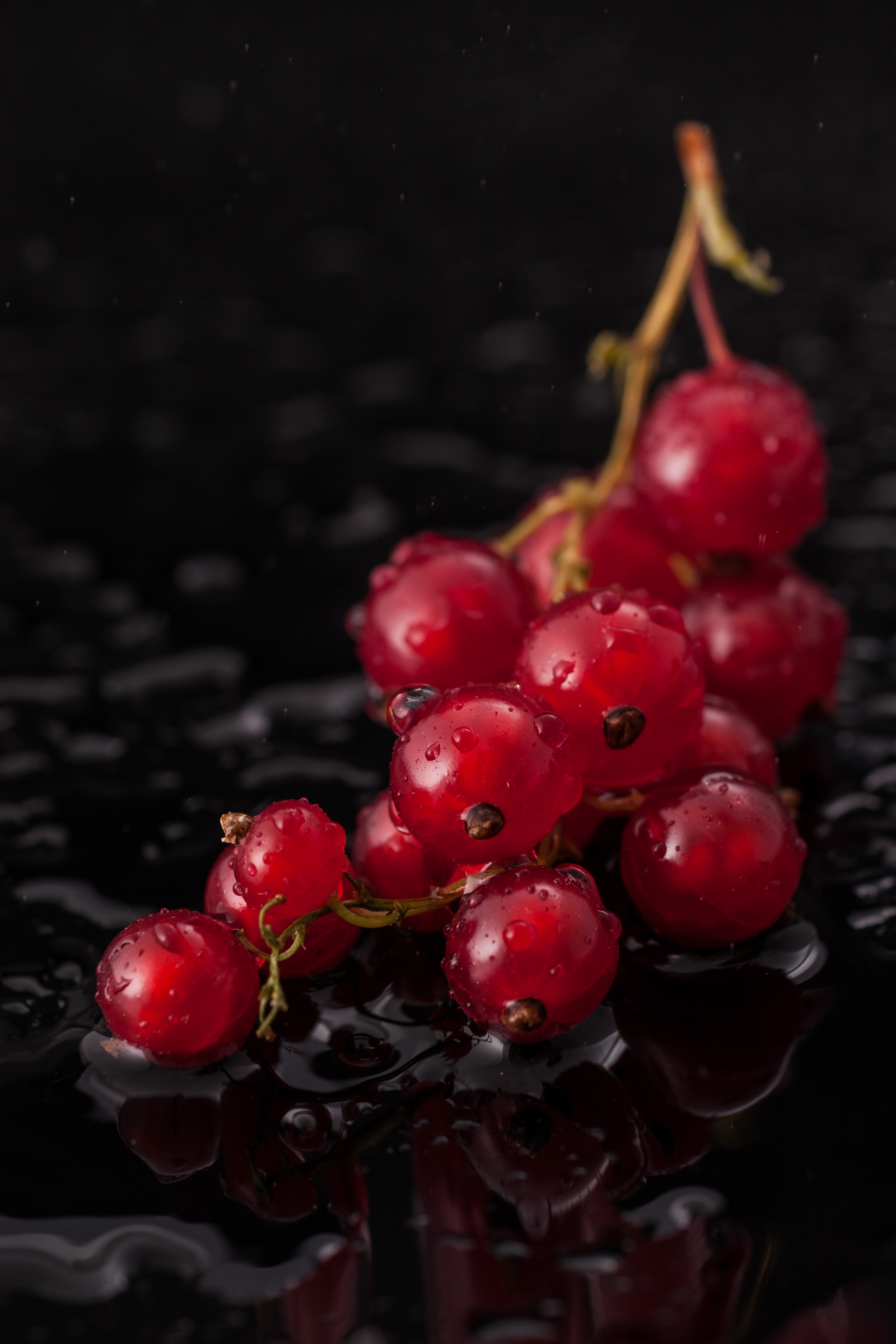 BSilvia Photography Belgium