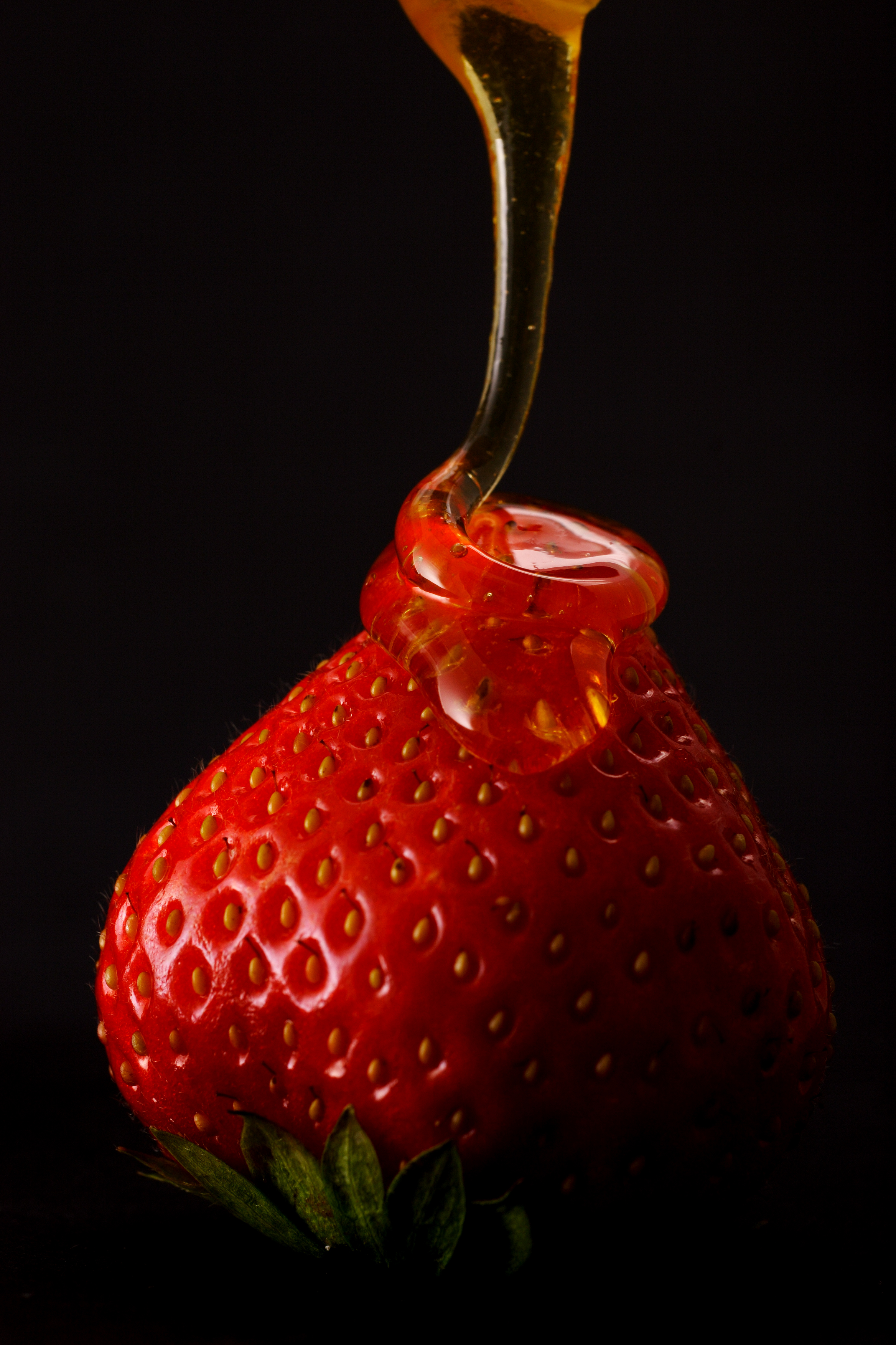 BSilvia Photography Belgium